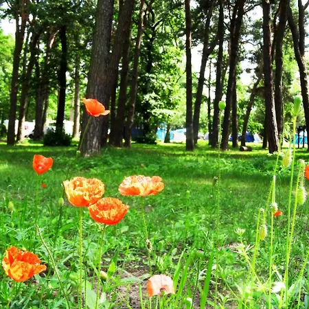 Jaktstuga 34 Przy Plazy