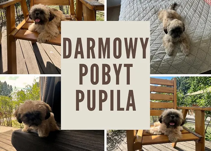 Chata 34 Przy Plazy *