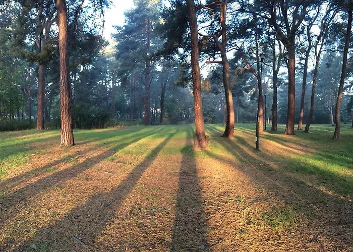 34 Przy Plazy Jaktstuga *