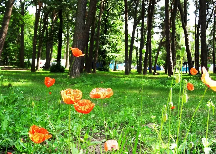 Деревянный коттедж 34 Przy Plazy